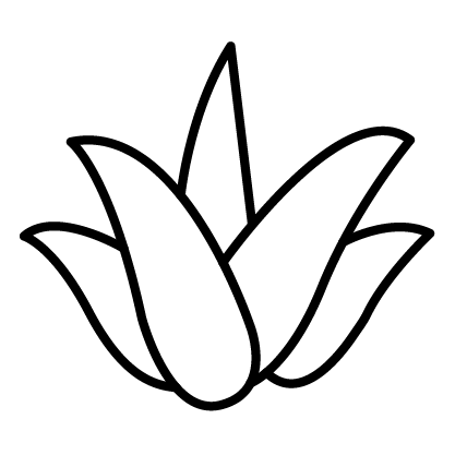 Aloe Vera icon