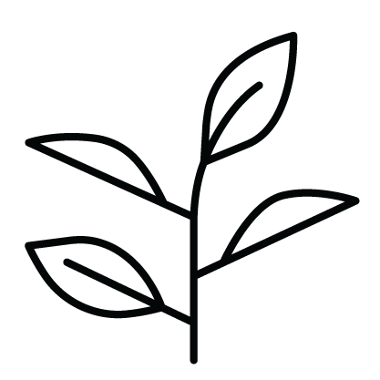 Tea Tree Extract icon 